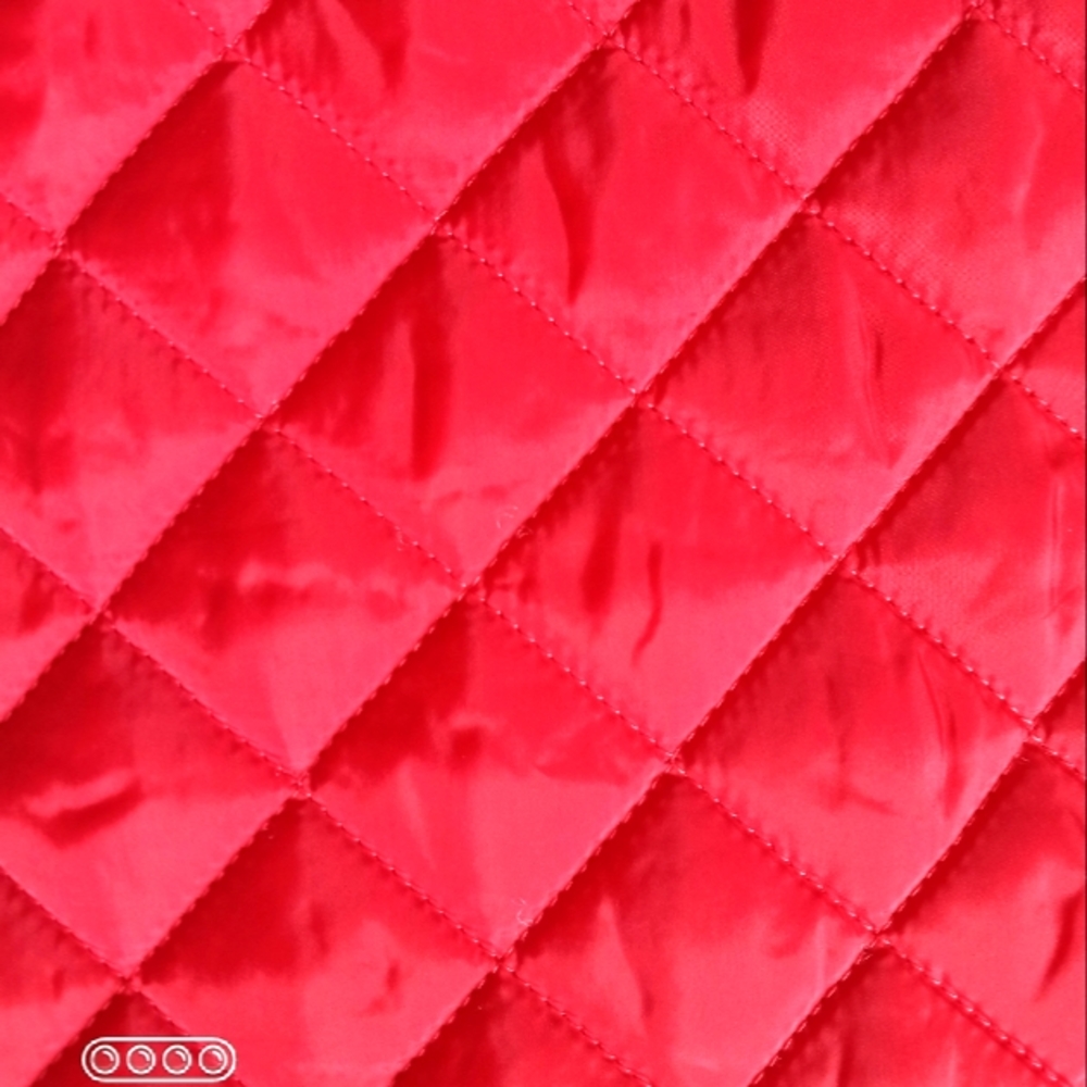 Red Ski Jacket Vest - Picture 15 of 16
